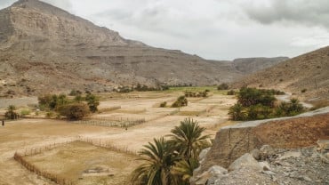 رحلة سفاري جبلية لمدة نصف يوم إلى جبل حارم