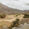Half-Day Mountain Safari to Jabel Harim